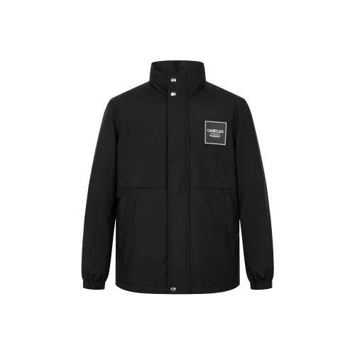 Cavalli Class Пуховик Мужской