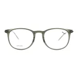 C40 Полынь Зеленая