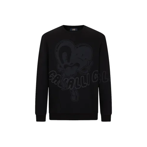 Cavalli Class Мужские Свитшоты