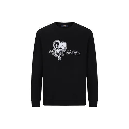 Cavalli Class Мужские Свитшоты