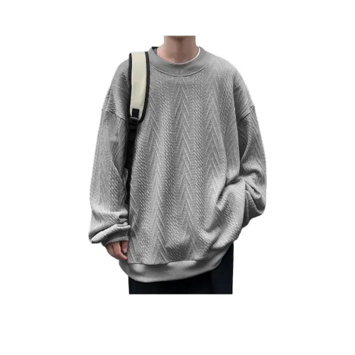 ICVBL Мужские Свитшоты