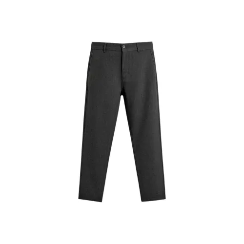 ZARA Collaboration Зебра С принтом Темно-серые Мужские Повседневные Штаны