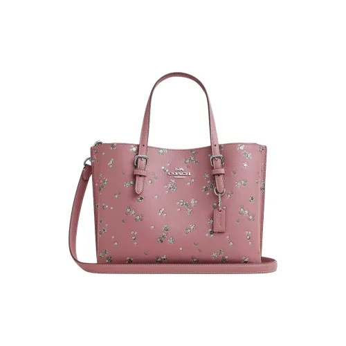 COACH Mollie Кожа Сумка Средний Женский Многоцветный