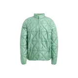 2EWV Шалфейно-зеленый-W26