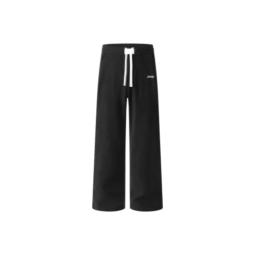 Jeep Унисекс Повседневные Штаны