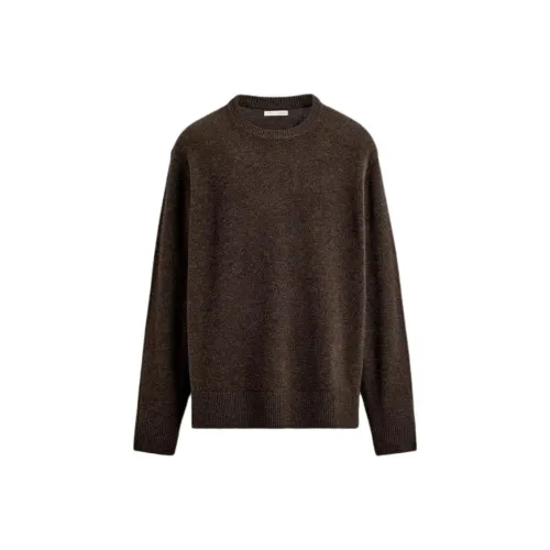 ZARA Collaboration Зебра С принтом Коричневый Мужской Трикотаж