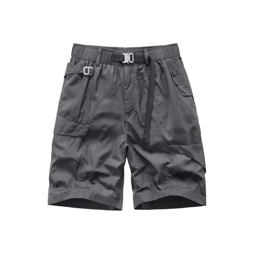 VIP Functional Series Повседневные шорты Мужские