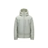 Холодный сосна серый