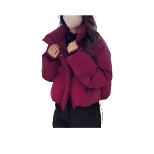 Amyway Женские пуховики