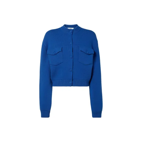 FENDI Синие Женские Свитера