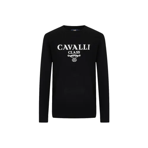 Cavalli Class Кашемировый свитер мужской