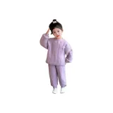 2569 Фиолетовый