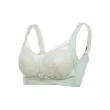 Бамбук зеленый