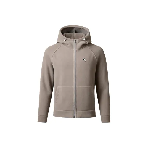 POLOMEISDO Унисекс Свитшоты