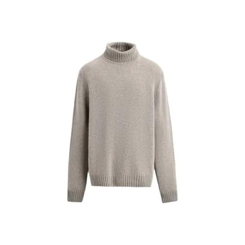 ZARA Collaboration Телесный Зебровый принт Мужской Трикотаж