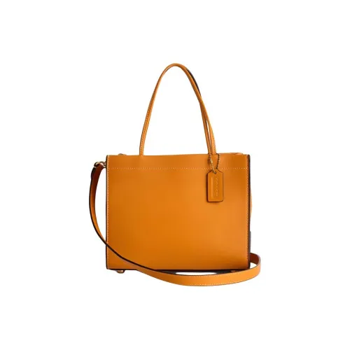 COACH Cashin Коровья кожа Одно плечо Сумка Маленькая Женская Тыква