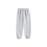 Light Gray [Стандартное издание / Съемный бренд / Брошь]