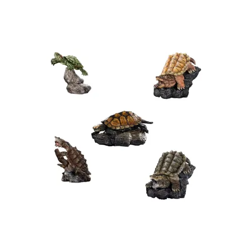 BANDAI Биологический Большой Изображение Идентификация Черепаха Аллигатор Бразилия Черепаха симуляция Животные