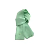 Зеленое яблоко зеленого цвета