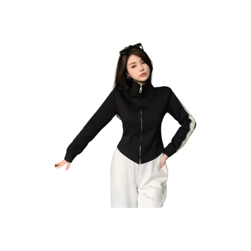 Sky Swan Черный Женские Свитшоты