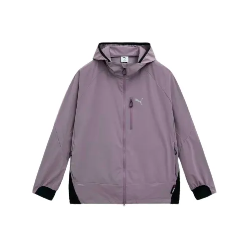 PUMA Сливовый Соус Мужские беговые куртки