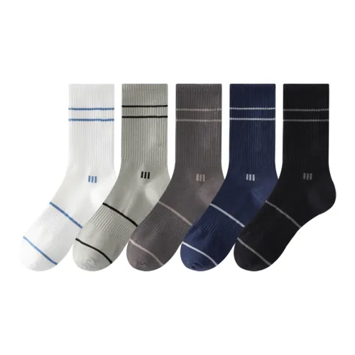 MIIOW Мужские носки MID до икры