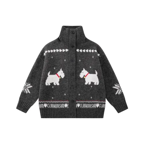 CLIMAX VISION Темно-серый унисекс свитеры