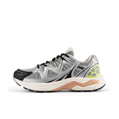 PEAK State Pole Беговые кроссовки Низкий топ Кибер Серый Серебряный Унисекс