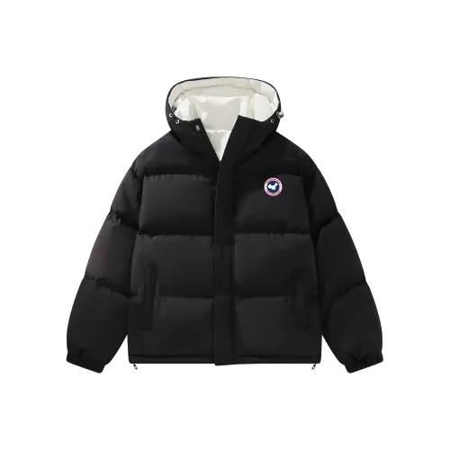 Паддингтон Медведи Пуховая куртка Пальто Унисекс