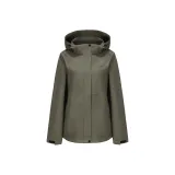 Сосновый морозный зелёный