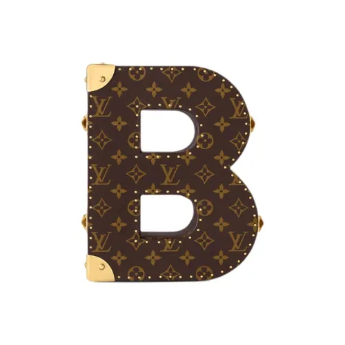 LOUIS VUITTON Металл Встроенная память Коробка Унисекс Коричневый