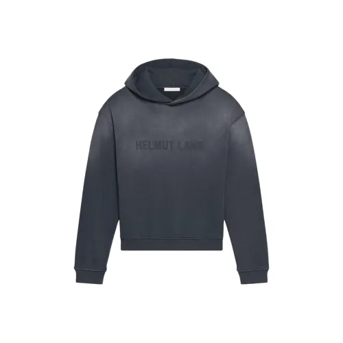 Helmut Lang Стальной Серый Мужской Свитшот