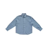 Цвет киновари: Орхидея