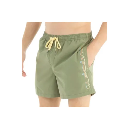 Quiksilver Оливково-зеленые Мужские Повседневные Шорты