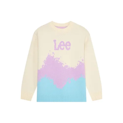 Lee Школьный возраст Свитера