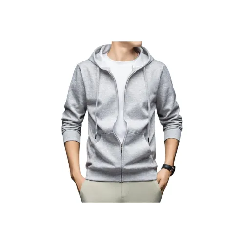 KADANDINUO Мужские Свитшоты