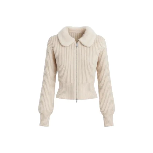 STGX Женская трикотажная одежда