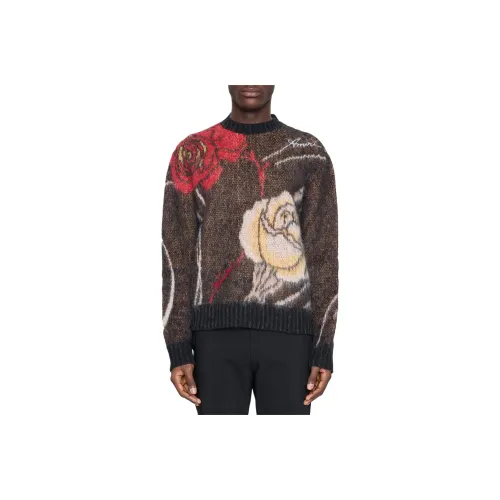 AMIRI Коричневый Мужской Свитеры