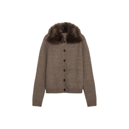 ZARA Зебра с принтом норка женский трикотаж