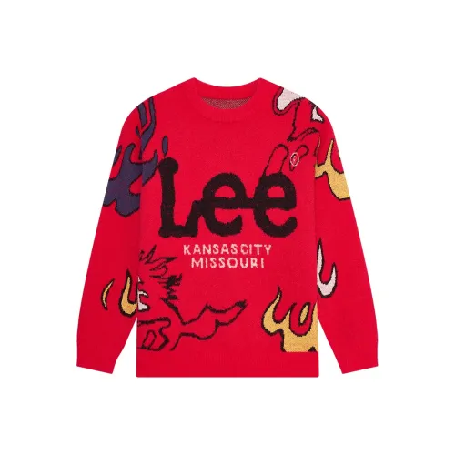 Lee Школьный возраст Свитера