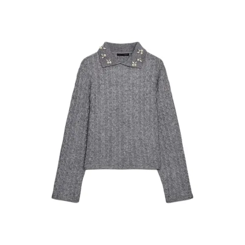 ZARA Collaboration Зебра с принтом Серый Женский Трикотаж