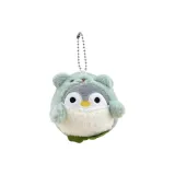 Костюм Пингвин, Зеленый