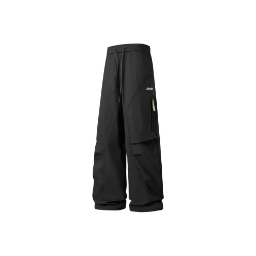 Jeep Унисекс Повседневные Штаны