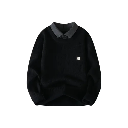 Egger Мужской Трикотаж