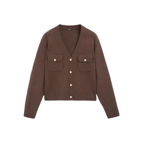 Massimo Dutti Коричневый Женский Трикотаж