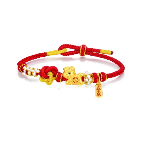 ZSY 999 Fine Серебряный Браслет с шнурками Женские