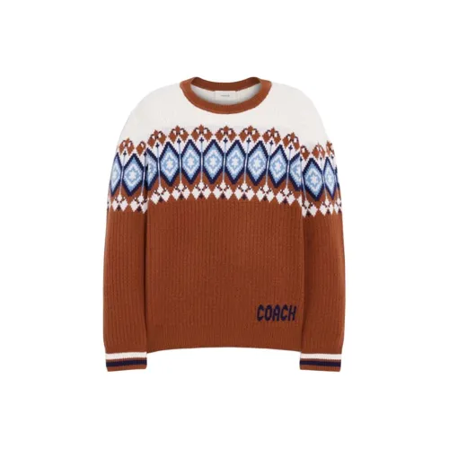 COACH Коричневые Мужские Свитера