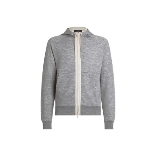 Ermenegildo Zegna Серый Мужской Свитшот