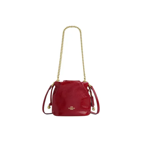 COACH Faye Wrinkle Кожа Сумка через плечо Мини Женская Красная