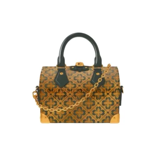 LOUIS VUITTON Speedy Кожа Сумка 25 Женская Желтая и Темно-Зеленая